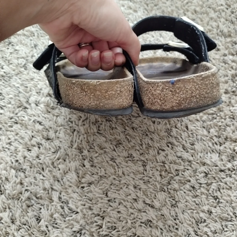 Birkenstock arizona chameleon